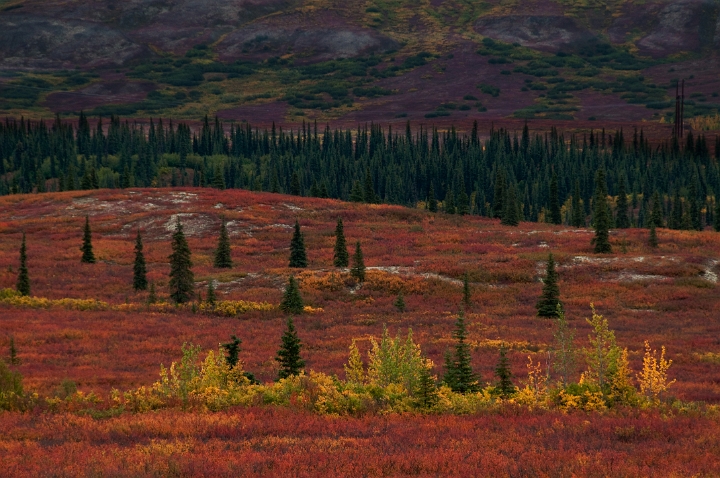 Tundra Highway 3 4971 copy.jpg